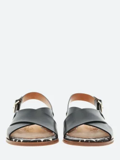 Chie Mihara - Wanter in Negro Softy