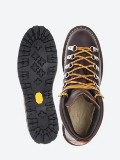 Danner - Women's Mountain Light in Brown