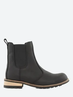 Kodiak - Alma in Black