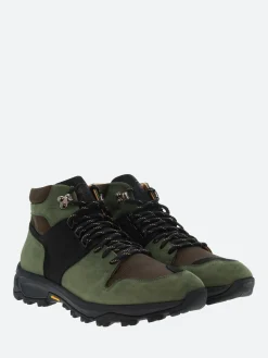 Sesa - Anchorage in Olive