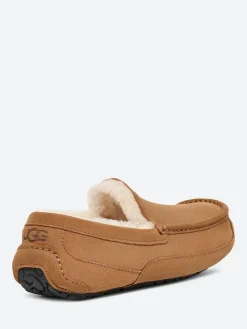 Ugg - Ascot Slipper in Chestnut